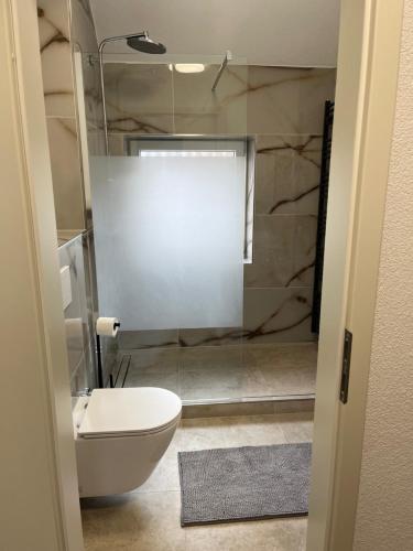 鲁尔河畔米尔海姆Ferienwohnung Ruhrperle的带马桶和淋浴的浴室