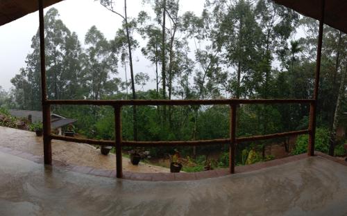 Příroda nedaleko bed and breakfast