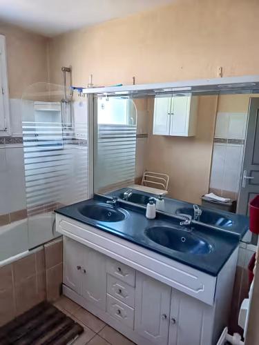 a bathroom with a blue sink and a mirror at Pavillon du Capitaine -25min Parc-By R&G in Montournais