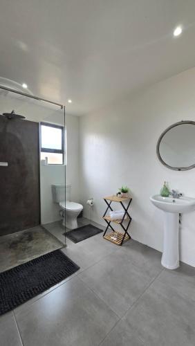 a bathroom with a shower and a sink and a toilet at Izinga Game Karoo Guest Farm in Philipstown