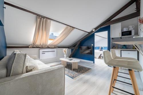 un salon avec un canapé et une chaise dans l'établissement Le Douillet, à Reims