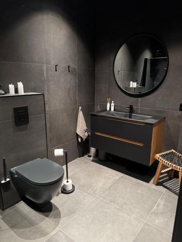 Gammelgårdvegen 31 في ترومسو: حمام مزود بمرحاض ومغسلة ومرآة