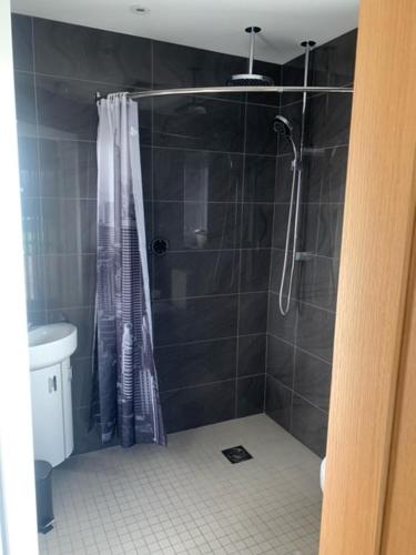 a bathroom with a shower and a toilet at Field View in Wormegay