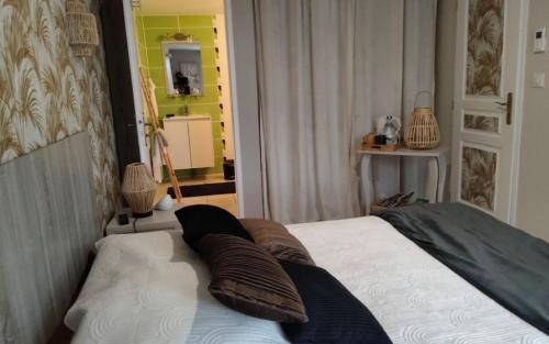 ConcorèsLe COLOMBIE GOULEME的一间卧室，床上有两个枕头