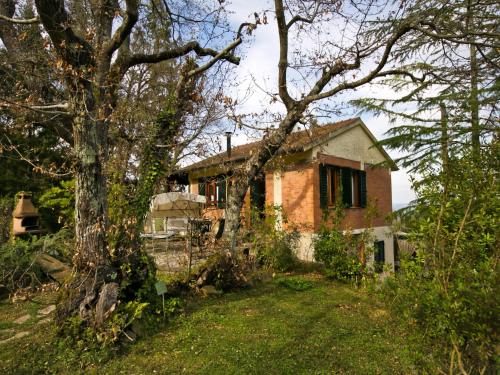 Zahrada ubytování Huge Holiday Home in Marina di Castagneto Carducci near Sea