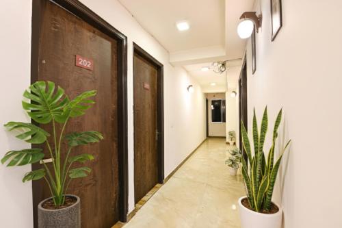 新德里Via Blu Lagoon Inn- Max Super Speciality Hospital and Select Citywalk Mall的走廊里有两株植物