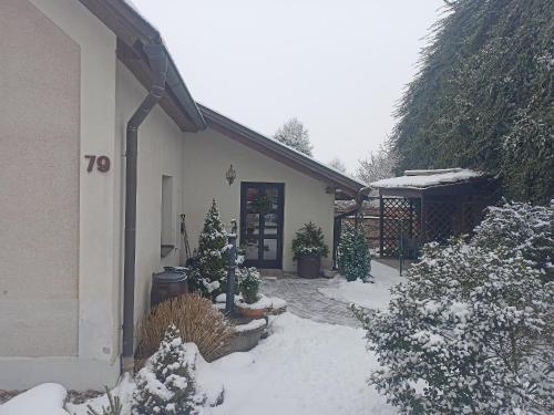 Το Tourist apartment Vysočina SKI plus BIATLON τον χειμώνα