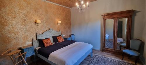 Thizy-les-BourgsDomaine de Courcenay的带一张大床和一面镜子的卧室