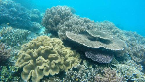 Φυσικό τοπίο κοντά σε αυτή η παραθεριστική κατοικία