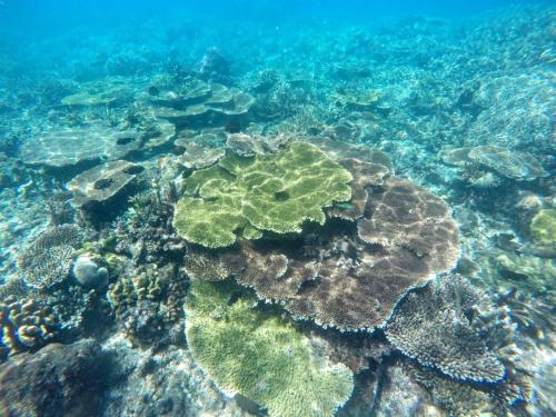 Φυσικό τοπίο κοντά σε αυτή η παραθεριστική κατοικία