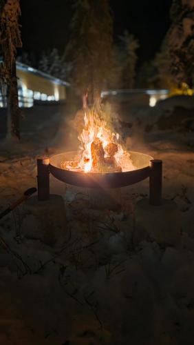 Afbeelding uit fotogalerij van Villa Snowy Owl in Rovaniemi