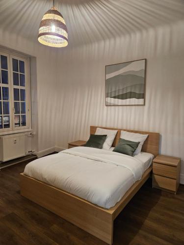 a bedroom with a bed and a chandelier at Grand appartement de 140m2 en plein centre-ville in Strasbourg
