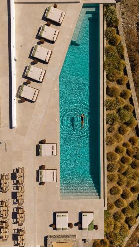 Ezio Bo Luxury Living