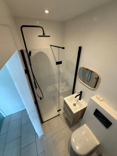 a bathroom with a shower and a toilet and a sink at Residence Wembley with sea view in Middelkerke