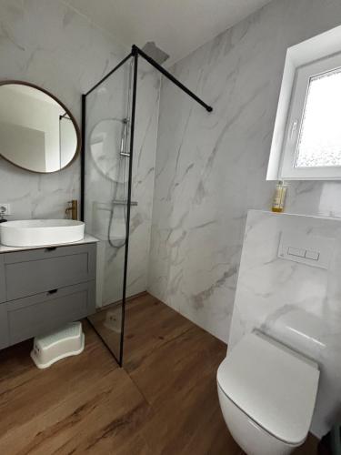 a bathroom with a toilet and a sink and a mirror at Jūros namai in Palanga
