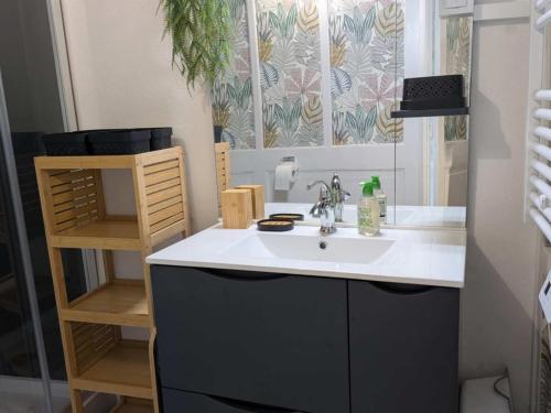 TenaySous les Etoiles du Bugey的浴室里有洗手池和镜子