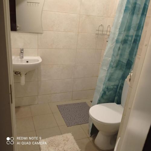 a bathroom with a toilet and a sink at Vienības 28 in Daugavpils