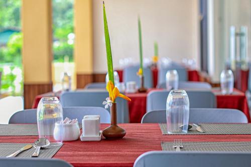 Εστιατόριο ή άλλο μέρος για φαγητό στο Royal Jungle Villas