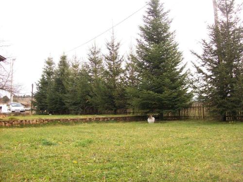 En have udenfor Leona Luka