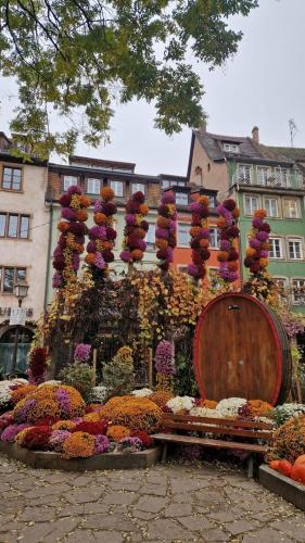 Hôtel Rohan Strasbourg
