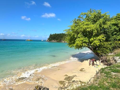 a group of people standing on a beach at Sunset Dream - Bungalow haut de gamme proche Plage in Grand-Bourg
