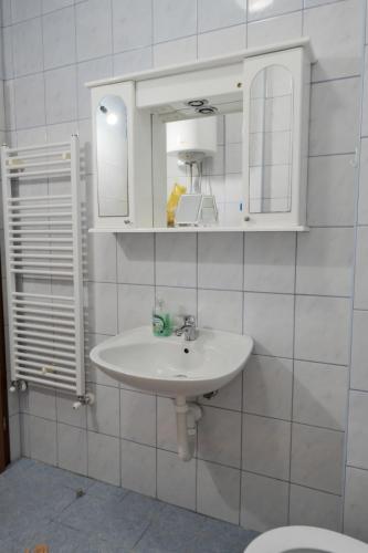 Ένα μπάνιο στο Banja Luka Lux