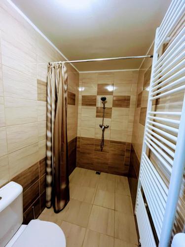 a bathroom with a shower and a toilet at Chalupa Kocourov in Slavíkov