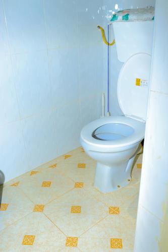 a bathroom with a white toilet in a room at Nancy's Farm House in Chuka