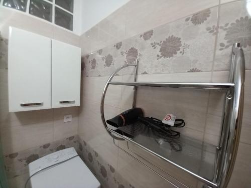 a small bathroom with a toilet and a shower at Apartmán Margareta in Rimavská Sobota