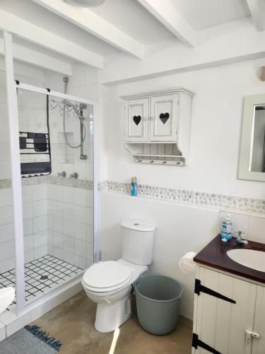 a bathroom with a toilet and a shower and a sink at Hannah's Close in Struisbaai