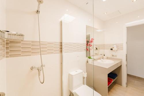 Apartment Old Town Reina Sofia 3
