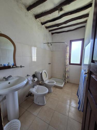 Koupelna v ubytování Evara House