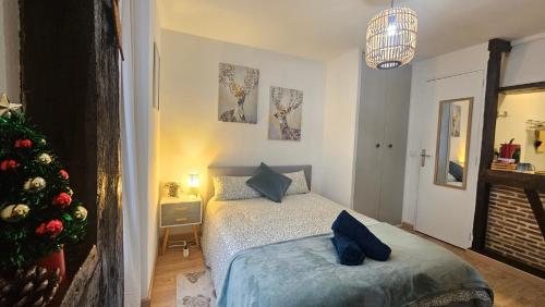 Ένα ή περισσότερα κρεβάτια σε δωμάτιο στο Le Remède - Studio calme hyper-centre Orléans