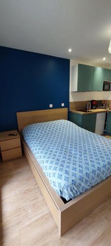 艾克斯莱班Studio Aix-les-Bains的卧室里有一张大床，墙壁是蓝色的