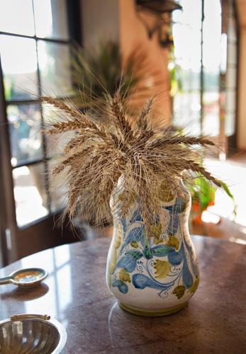 a vase with a plant in it sitting on a table at Don Carlo Agriturismo di Charme Bio in Le Pioppe
