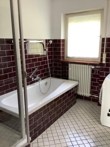 Ένα μπάνιο στο Hombollblick