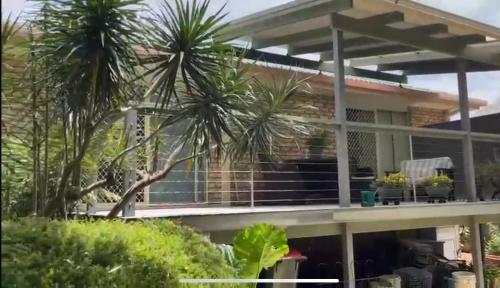 a house with a deck with palm trees on it at Banksia Hideaway in Port Macquarie