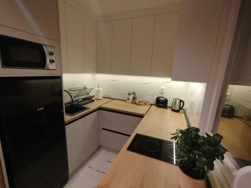 Kuchyň nebo kuchyňský kout v ubytování APARTMAN ANASTASIJA i DANKA