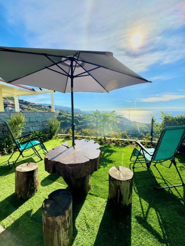 Příroda nedaleko prázdninového domu