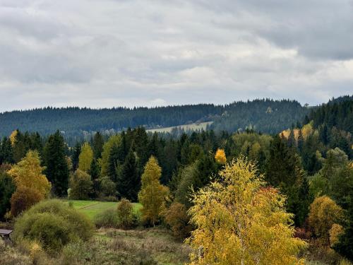 Φυσικό τοπίο κοντά σε αυτό το διαμέρισμα