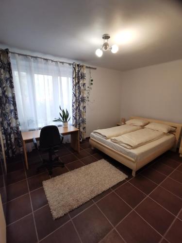 Apartament STASZICA