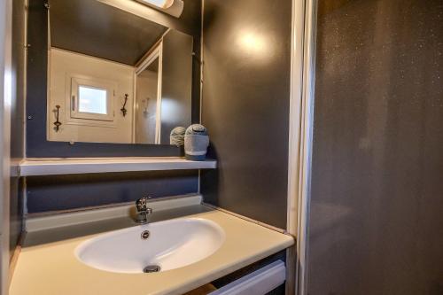 RoquefeuilChalet montana 3- 4pers的浴室里有洗手池和镜子