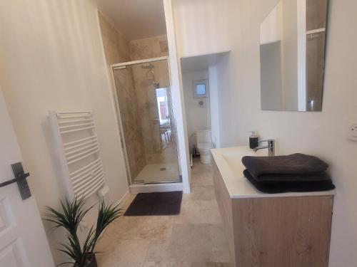 a bathroom with a shower and a sink and a toilet at JMAM Urban Suite in Fos-sur-Mer