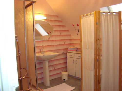 un bagno con lavandino e specchio di Le Logis Des Grenouilles B&B a Morieux