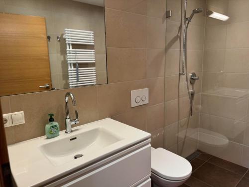 łazienka z umywalką i prysznicem w obiekcie Ferienwohnung Eichenspaziert w mieście Hart im Zillertal