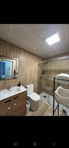 a bathroom with a toilet and a sink and a shower at El capricho de Olga in Almodóvar del Río