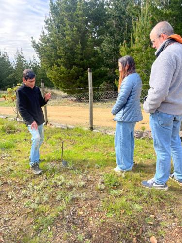 Gallery image of Alojamiento y Desayuno Privado de Lujo C1B in Bucalemu