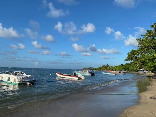Φυσικό τοπίο κοντά σε αυτό το διαμέρισμα