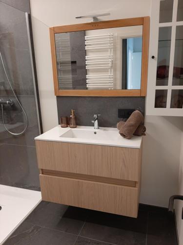 a bathroom with a sink and a mirror and a shower at Driemaster, Stijlvol appartement met uitzicht op jachthaven en privé parking, centrum Oostende in Ostend