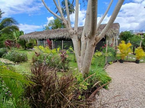 a house with a thatch roof and a tree at APARTAMENTO EXCLUSIVO Villa Privada Flamboyan in Bayahibe